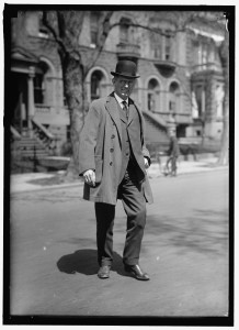 Louis Brandeis, between 1915 and 1917. Harris & Ewing collection, Library of Congress Prints and Photo Division