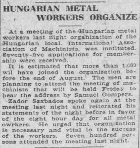 Hungarian Metal Workers hold meeting of 700 in July of 1919.